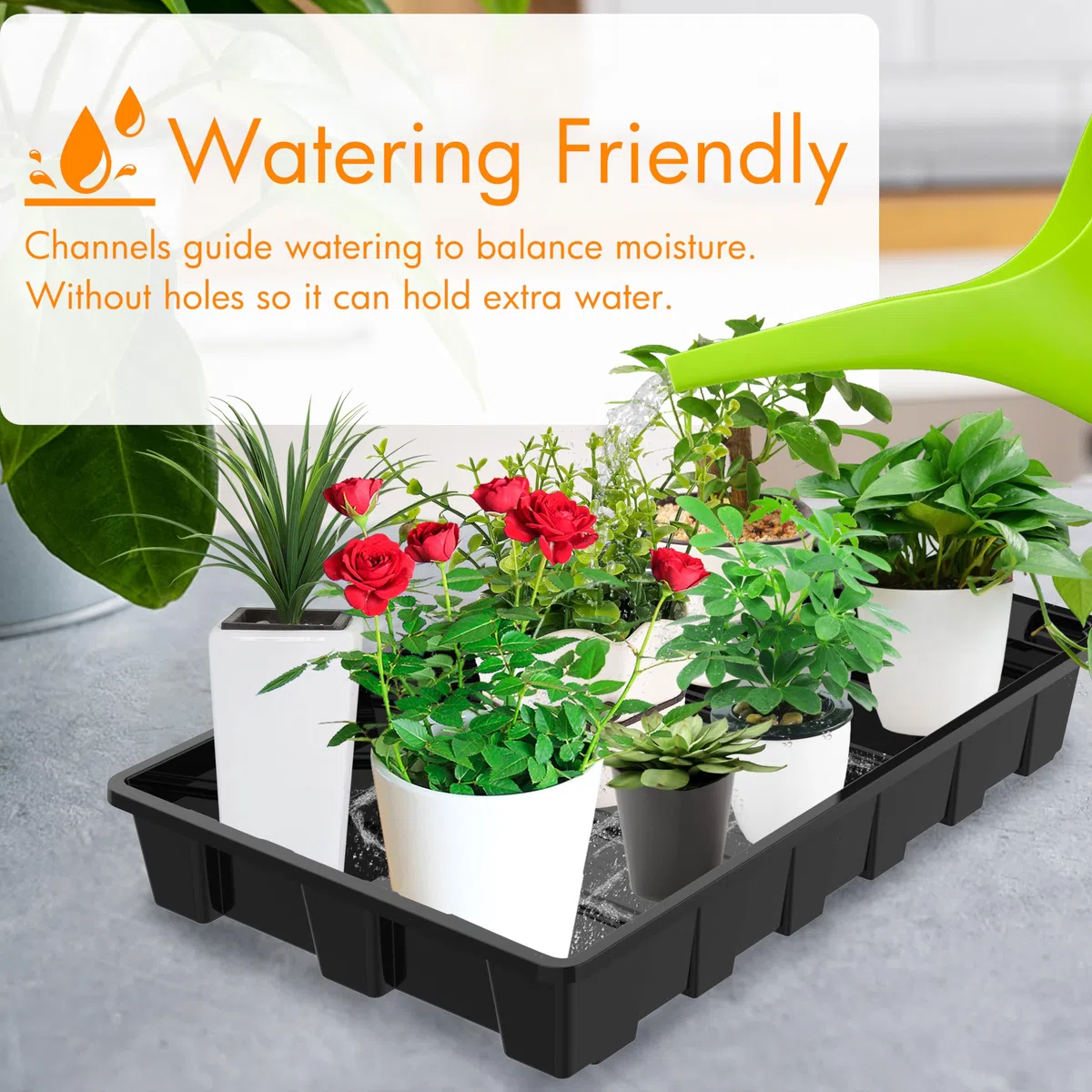 Gardzen Lot de 10 plateaux de semences, plateaux de culture réutilisables, parfaits pour le démarrage des graines, les microgreens, le jardinage d'intérieur et les pépinières de plantes en serre – Pas